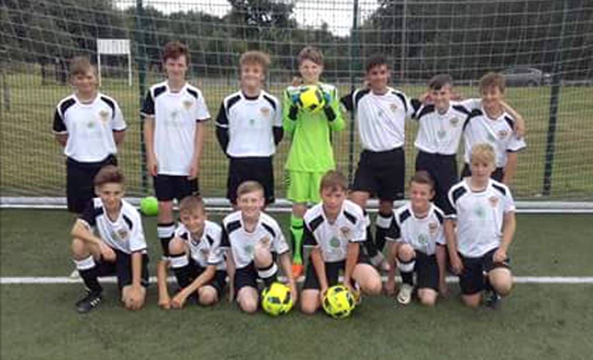 Brierley Cubs football team